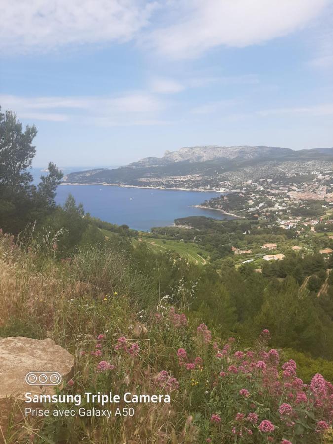 Villa Securisee Pres Des Lecques Saint-Cyr-sur-Mer Exterior photo