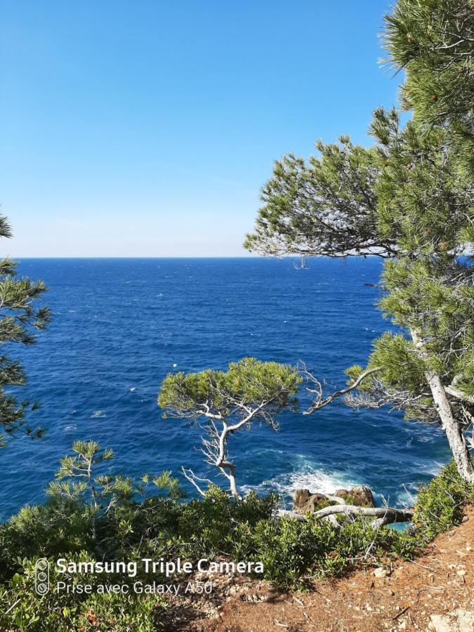 Villa Securisee Pres Des Lecques Saint-Cyr-sur-Mer Exterior photo